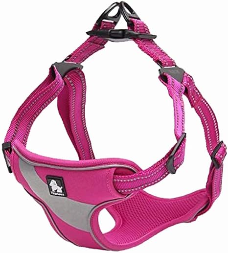 true love harness amazon