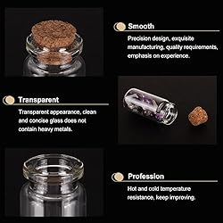 CRASPIRE 24Pcs Small Glass Bottles with Cork
