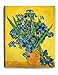 DECORARTS - Irises Vase Flower, Vincent Van Gogh Art Reproduction. Giclee Canvas Prints Wall Art for Home Decor 20x16