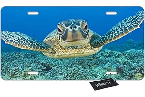 Wondertify License Plate Lonely Sea Turtle Decorative Car Front License Plate,Vanity Tag,Metal Car Plate,Aluminum Novelty License Plate for Men/Women/Boy/Girls Car,6 X 12 Inch (4 Holes)