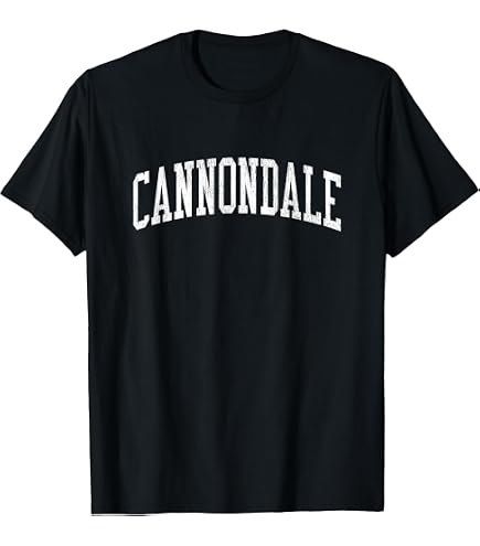 Cannondale キャノンデール 自転車 シャツ ロックT ヴィンテージ Amazon.com: Vintage Sunset Stripes Cannondale, Connecticut T-Shirt