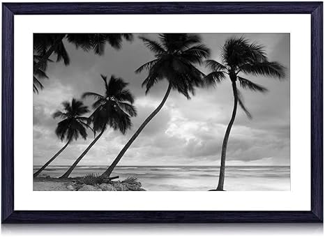Amazon Co Jp ヤシの木のシルエット 曇りカリブ海沿岸 木製の黒色のフォトフレーム 壁の絵 壁掛け ソファの背景絵画 壁アート写真の装飾画の壁画 白黒 海 40cmx30cm ホーム キッチン