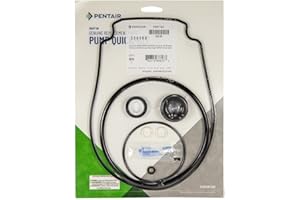 356198 Pentair Pump Seal Quick Kit Whisperflo Intelliflo