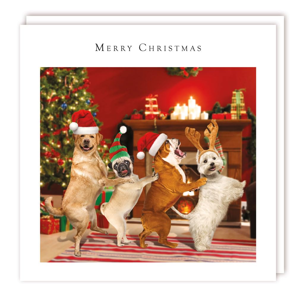 Dogs Conga Christmas Party Animals - Rainbow Trust Charity Christmas 160x160mm Pack of 10 Large Xmas Cards (Dog's Conga)