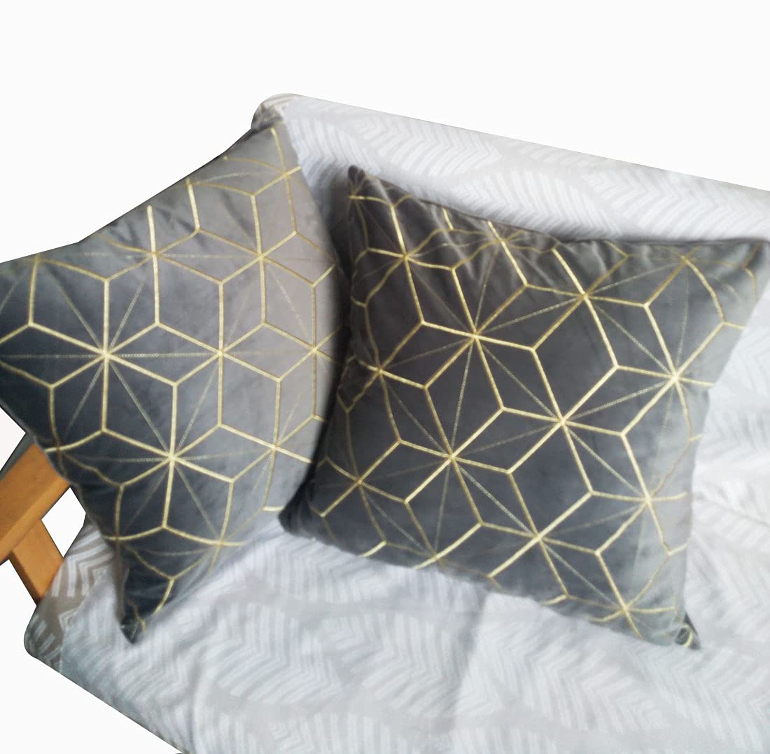 ZUODUTEX Pack of 2 Embroidered Grey Velvet Cushion Covers Decorative Throw Pillow Cover Cushion Case Pillow Case 45 x 45 Cm