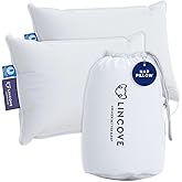 Lincove Microgel Travel Pillow - Global Recycled Standard Certified - Plush and Cozy Luxury Pillow to Support Head, Neck, While Sleeping on Airplanes, Cars, Hotels & Home - 12"x16" - 2 Pack
