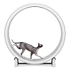 One Fast Cat - Cat Exercise Wheel - Gen. 7 - Safe 48