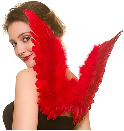 red wings fancy dress