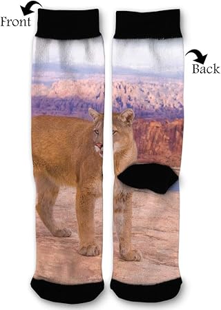 puma soccer shorts womens