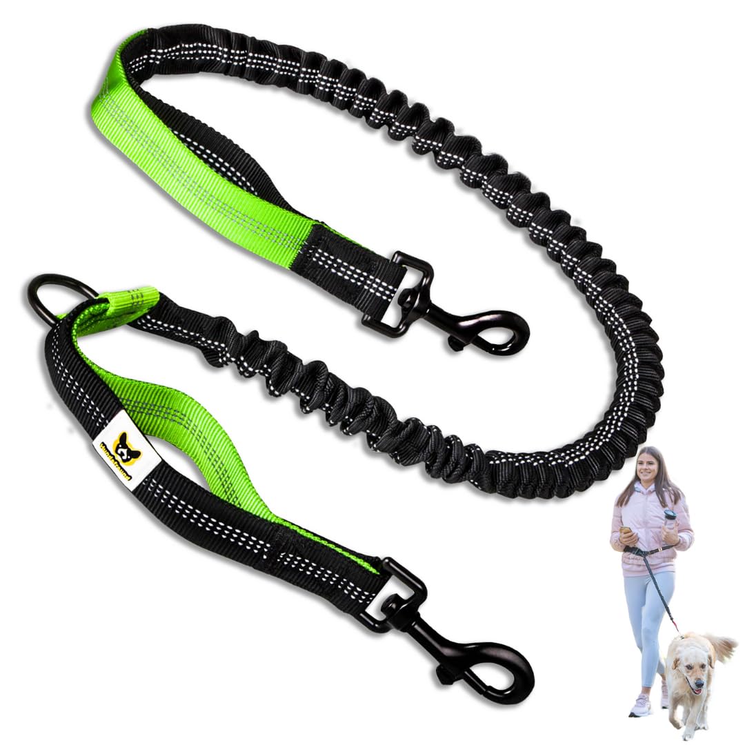 Photo 1 of Hundefreund Hands-Free Dog Leash Replacement Bungee (47–67”) – Extension for Medium & Large Dogs – Shock-Absorbing with Dual Handles & Reflective Stitching (Green)