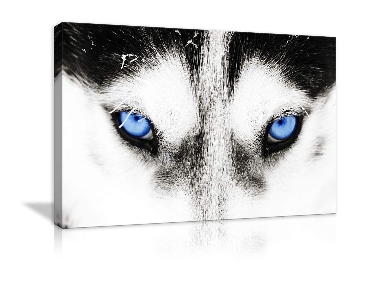Best Home Decor Photos Huskey