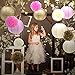 Tissue Paper Pom Pom Flowers and Paper Lanterns Party Decoration, 12 Pieces (Style A)