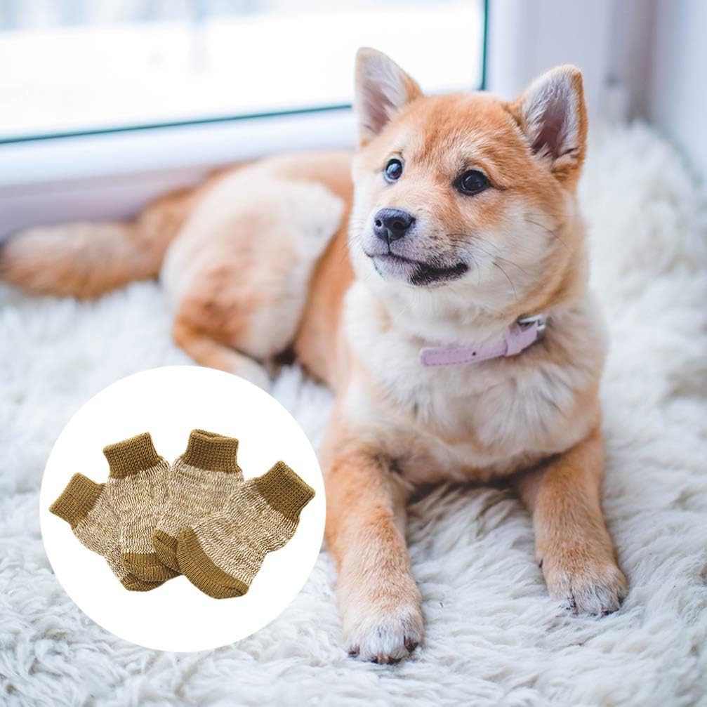 shiba inu características