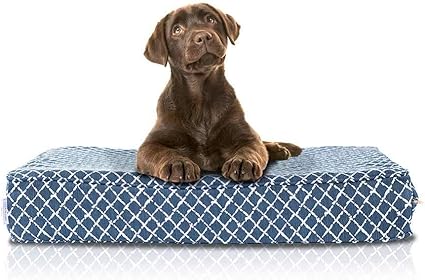 collapsible puppy crate