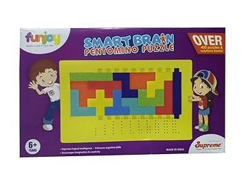 Pentomino Puzzle for Creative Minds