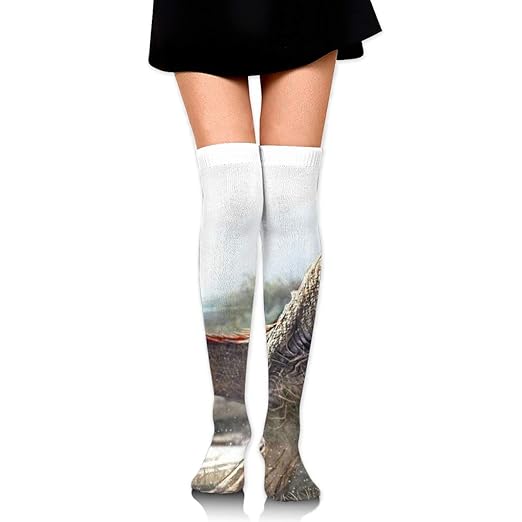 Amazon Com Magical Dinosaur Women Casual Comfortable Stockings