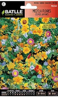 Huerto Urbano - Mix de flores Profesional (Ornamentales grandes ...