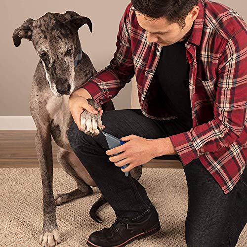 AIBORS Dog Nail Clippers, Professional Stainless Pets Nail Clippers and