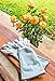 Rose Pruning Gloves for Men and Women. Thorn Proof Goatskin Leather Gardening Gloves with Long Cowhide Gauntlet to Protect Your Arms Until the Elbow (Extra Large)