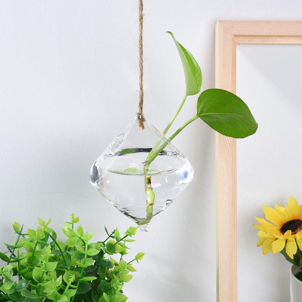 Ivolador Terrarium Container Flower Planter Hanging Glass for Hydroponic Plants Home Garden Decor -3 Type : Garden & Outdoor