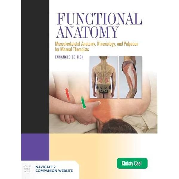 Applied Kinesiology Synopsis: David S. Walther: 9780929721040