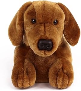 dachshund slippers amazon