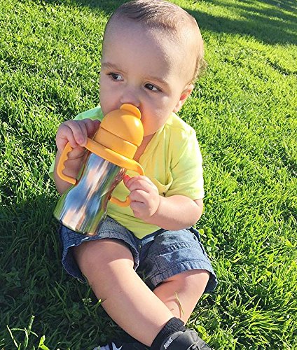 Thinkbaby Stainless Steel Thinkster Bottle, Orange (9 ounce)