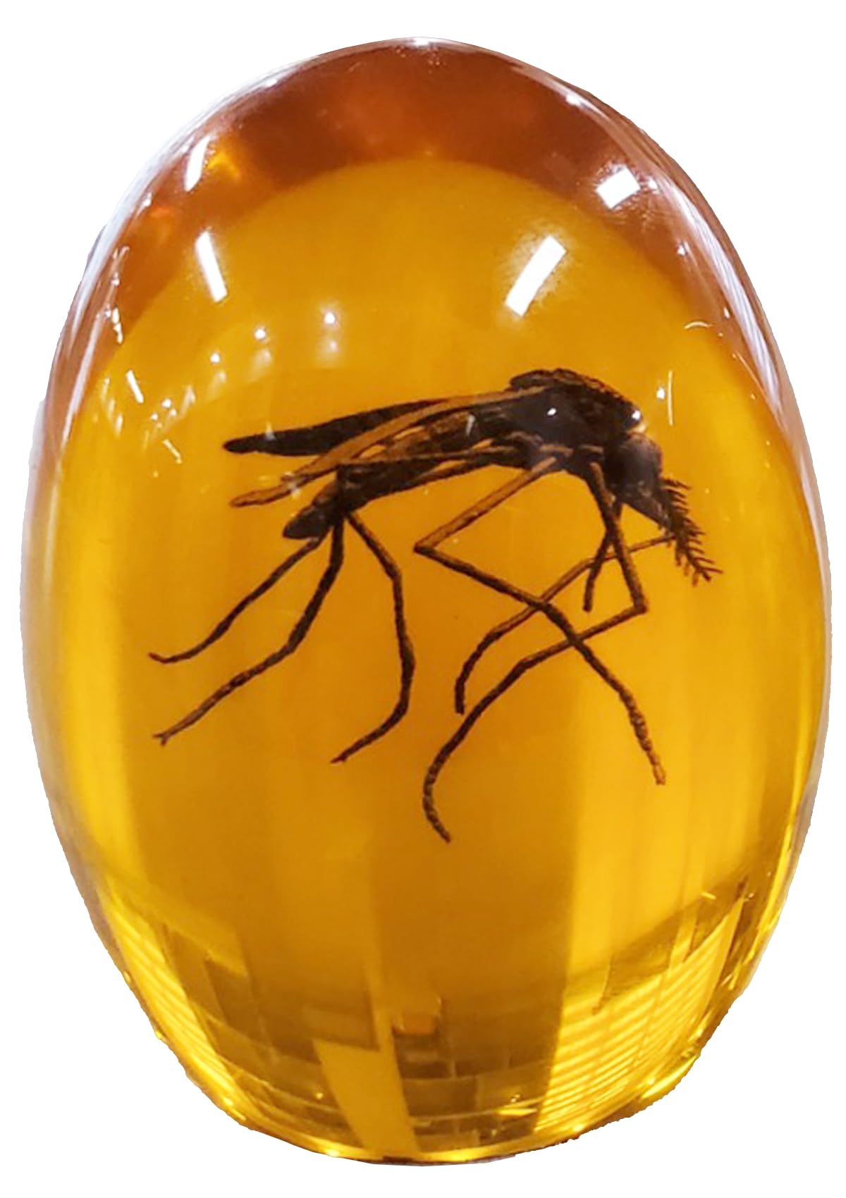Photo 1 of VEOJEIN Jurassic Mosquito in Amber | Durable Resin Encased Detailed 2D Insect. Perfect for Collectors and Enthusiasts | Paperweight, Aged Effect, Desk Ornament