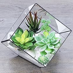 Supla 5 Pcs Assorted Artificial Succulents Plants