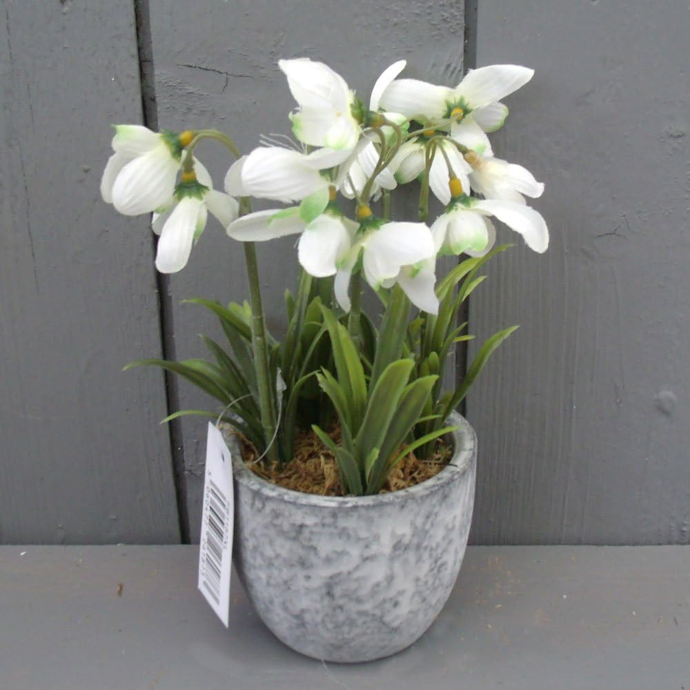 Permabloom Artificial Snowdrop Flowers In Pot Amazon Co Uk Home Kitchen