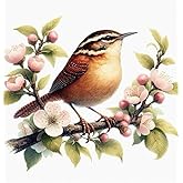 Carolina Wren Journal: Avian Symbolism