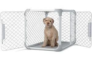 DIGGS Evolv Dog Crate - Slim, Durable Dog Kennel with Removable Ceiling Panel and Modular Design - Safe, Stylish, and Convenient (Ash, Intermediate)