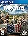 Far Cry 5 - PlayStation 4 Standard Edition primary