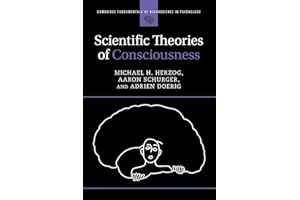 Scientific Theories of Consciousness