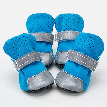 shoes for pomeranian dogs