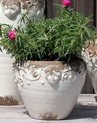 Caspo White Ceramic Flower Pot Bowl O18 Cm Amazon De Garten