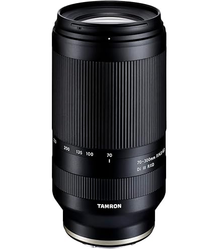 Amazon.com : TAMRON 28-200mm F/2.8-5.6 Di III RXD for Sony E-Mount  