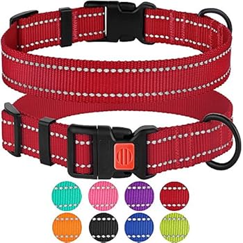 CollarDirect Reflective Dog Collar, Safety Nylon Collars for Dogs with Buckle, Outdoor Adjustable Puppy Collar Small Medium Large (Neck Fit 18
