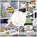 HOMEIDEAS Modern Terrarium Clear Glass Pyramid Tabletop Geometric Polyhedron Box,Decorative Succulent Plants Holder(Golden)