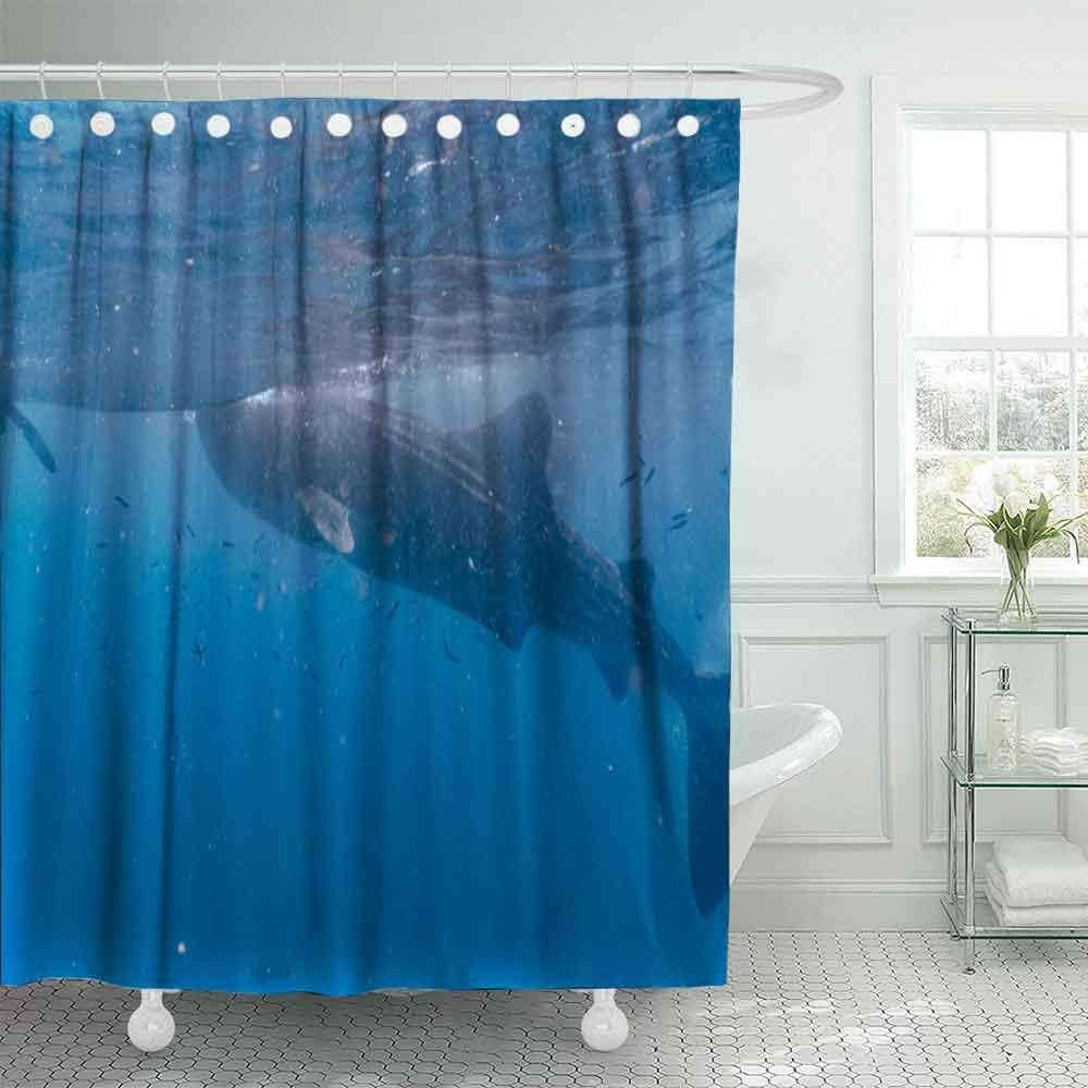 Jacrane Christmas Home Decor, 72x72 inch Waterproof Christmas Shower Curtains Whale Shark Watching in Closeup Cebu Fed Krill Indoor Christmas Decorations