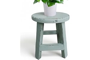 Plant Stool 6.5 inch Round Wooden Stool for Plants Sturdy Small Plant Stand for Living Room Bedroom Office
