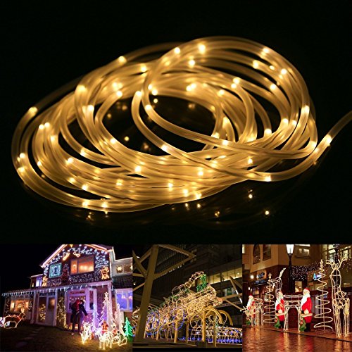 image for Lighting EVER LE 33ft 120 LED Dimmable Rope Lights, 2-Pack Warm White,