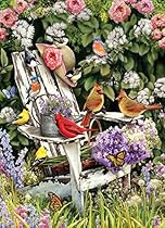 Summer Adirondack Birds