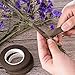 eBoot 3 Pack Floral Tape Stem Wrap 1/2 Inch x 30 Yards (Dark Brown)