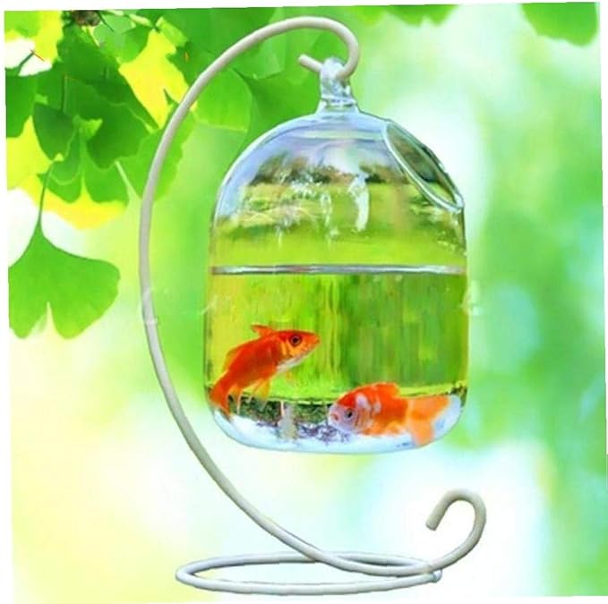 Hanging Fish Tank Creative Fish Vase Glass Transparent Goldfish Bowl for Home Decoration with