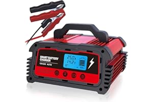 LVYUAN 25A Smart Car Battery Charger, 12V(5/10/25A) and 24V(5/10A) Automotive Charger, Battery Maintainer with LCD Display, T