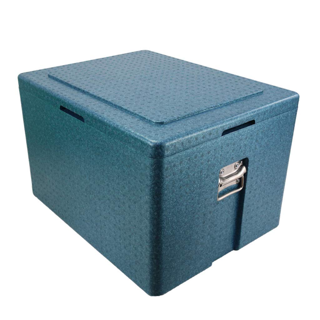 FKB@ED Nevera portátil para coche, 65 L, refrigerador personal ...