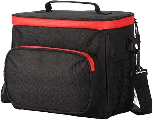 bento box with insulated bag