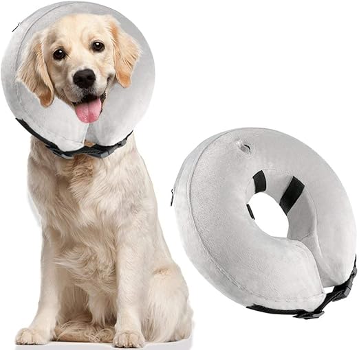 amazon dog cone collar
