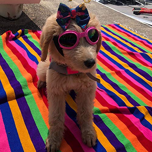 QUMY Dog Goggles Eye Wear Protection Waterproof Pet Sunglasses for Dogs